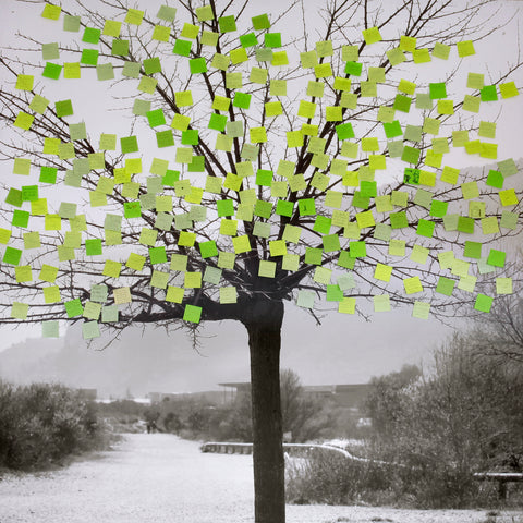 Tree of life